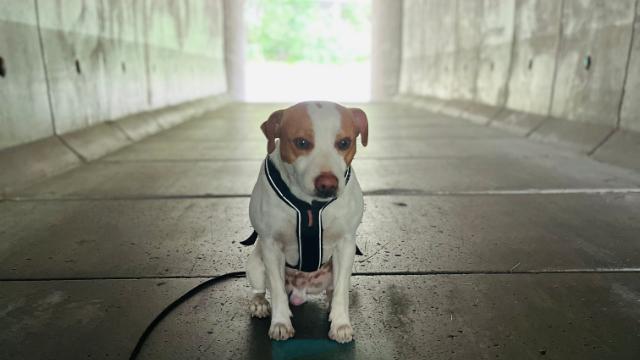 Nye referater er publisert.